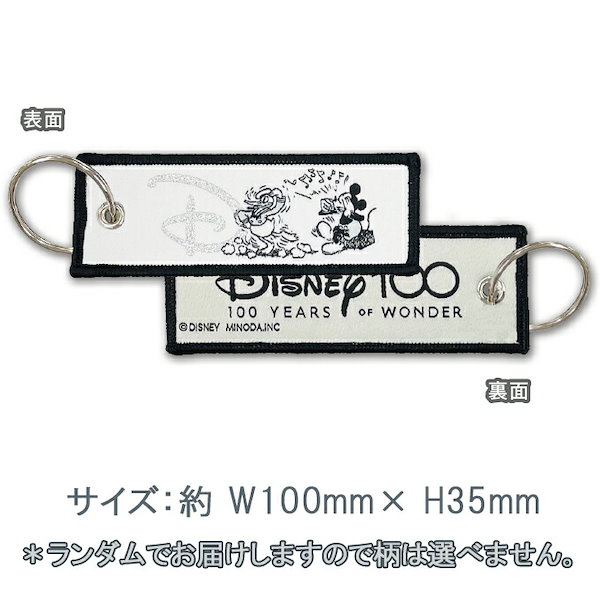 Qoo10] Disney100 フライトタグ ディズ