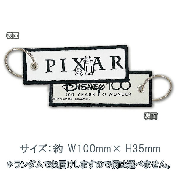 フライトタグ コンプリートセット ディズニー 100周年 記念 グッズ Qoo10] Disney100 フライトタグ ディズ