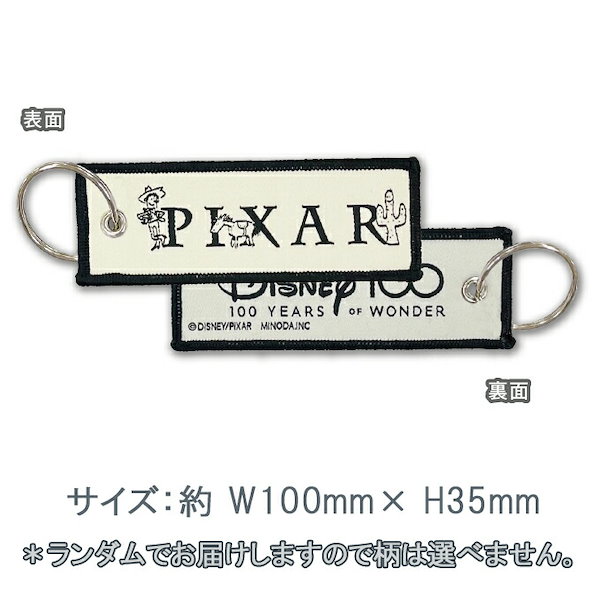 フライトタグ コンプリートセット ディズニー 100周年 記念 グッズ フライトタグ コンプリートセット ディズニー 100周年 記念 グッズ