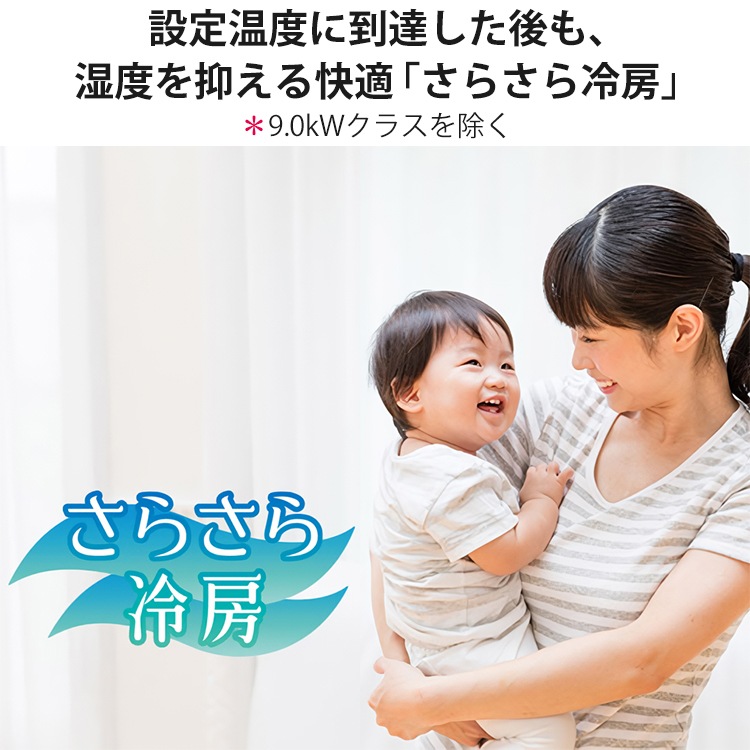 エアコン おもに6畳 Xシリーズ 2024年モデル 省エネ ノクリアクリーンシステム AI ハイブリッド気流 単相100V AS-X224R-W