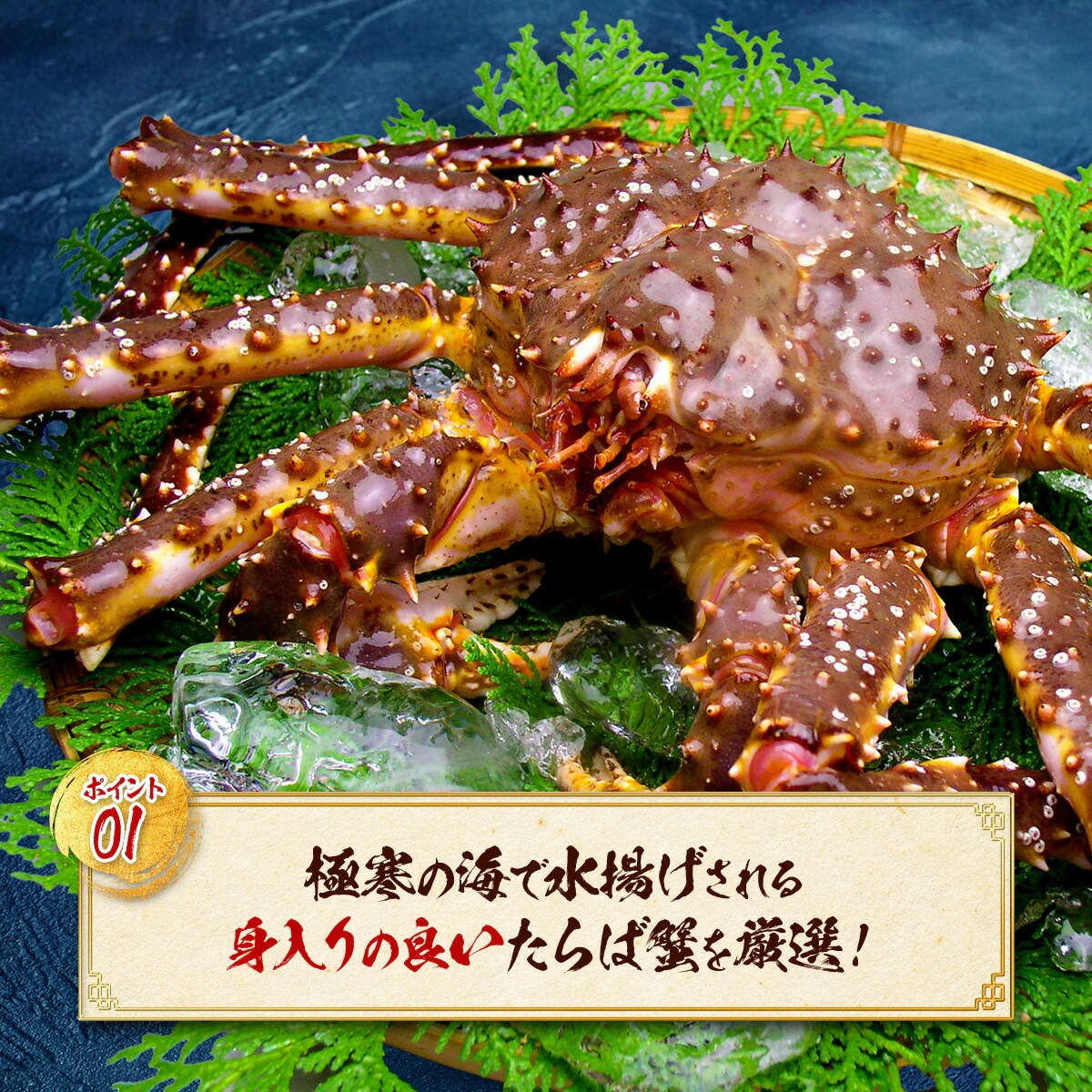 切れ目入りで食べやすい！ボイルたらばがに爪1kg【特大サイズ】10～15本【蟹爪】【カニ爪】【かに爪】【かにつめ】【カニツメ】【たらば蟹】【タラバガニ】