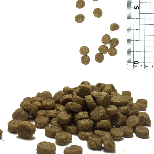 ブリスミックス 猫用 キャット チキン 2kg