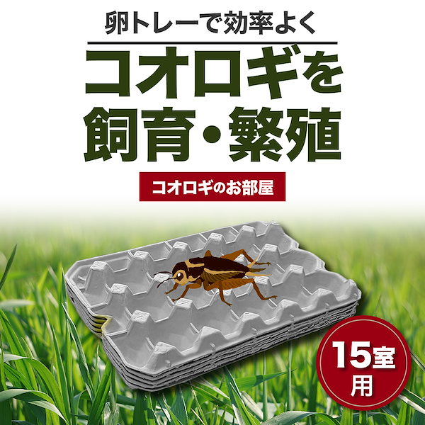 業務用 卵紙製トレー 飼育 ３０枚 - その他