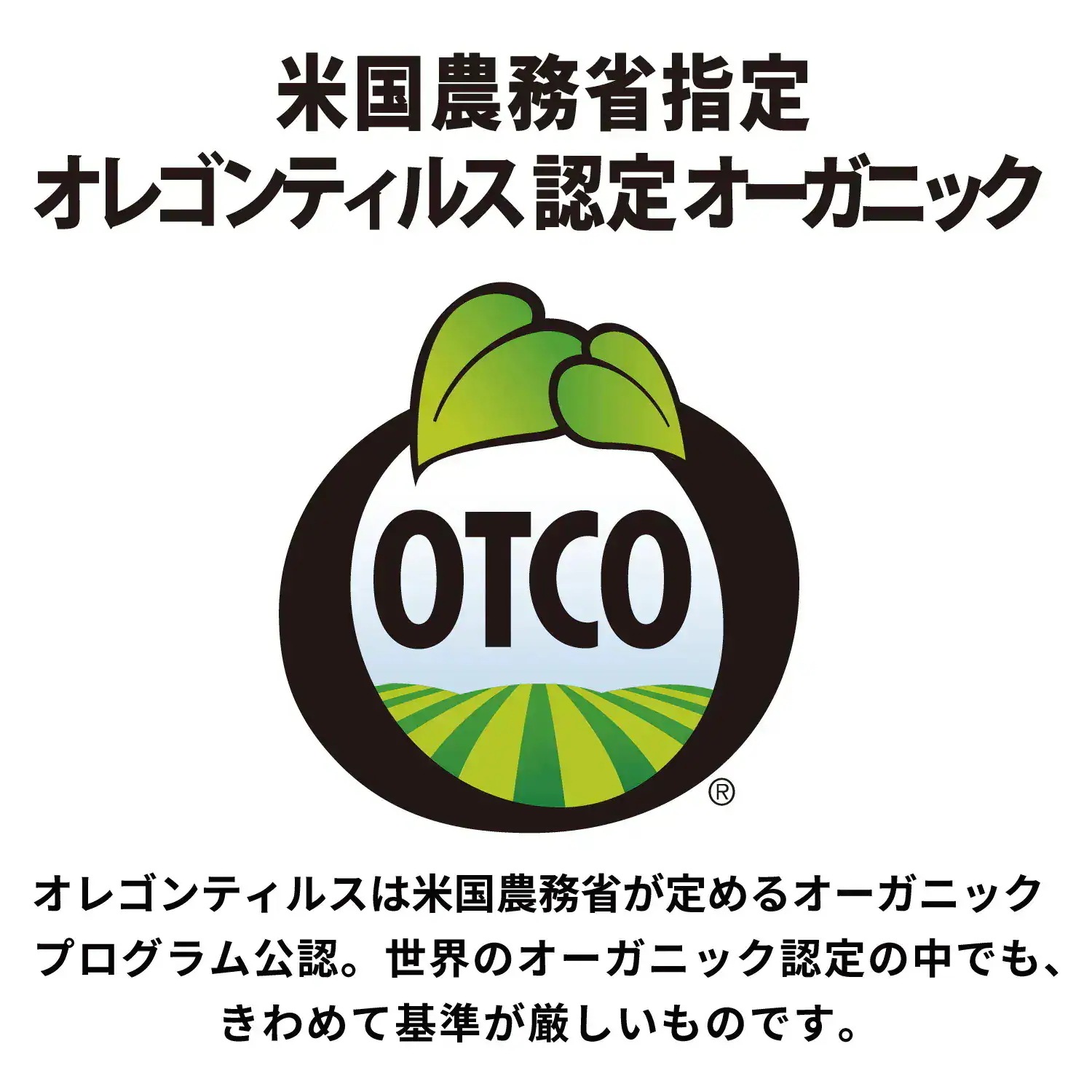 【正規公式店】 ザパーフェクトアンカー 944ml （ブラックスプルースブレンド2本組）100％天然で無添加のオーガニックソープ_6