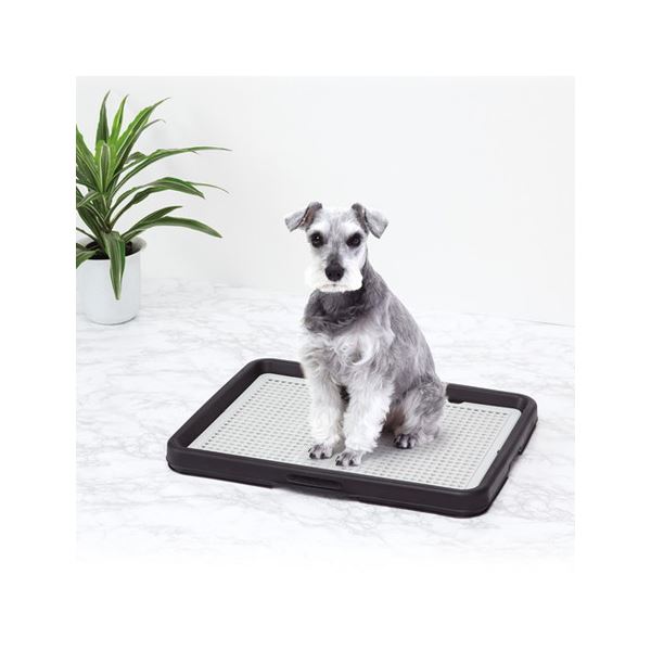 わんトレー ブラック ワイド (犬 衛生用品/トイレ)