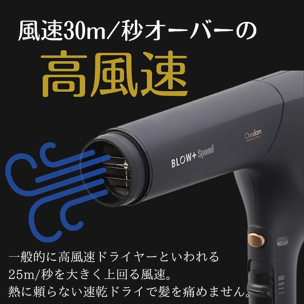 ワンダム プラズマイオンヘアドライヤー BLOW+Speed ABD-701
