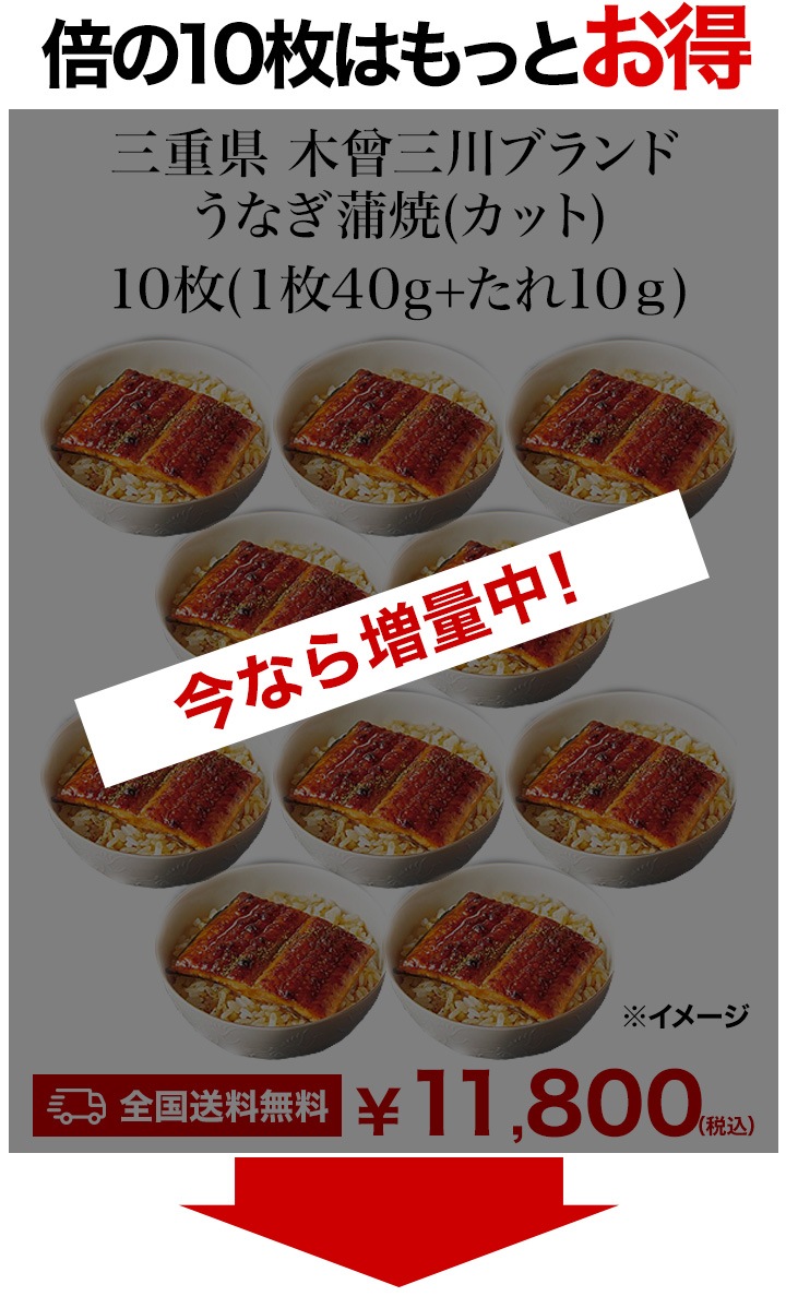 三重県 木曽三川ブランド うなぎ蒲焼(カット) 5枚 国産鰻 蒲焼 国産 鰻 うなぎ 化粧箱入り 木曽三川 うなぎ蒲焼き 土用の丑の日 土用 お祝い 海鮮 ギフト 贈り物 贈物 三重県 木曽三川ブランド うなぎ蒲焼(カット) 5枚 国産鰻 蒲焼 国産 鰻 うなぎ 化粧箱入り 木曽三川 うなぎ蒲焼き 土用の丑の日 土用 お祝い 海鮮 ギフト 贈り物 贈物