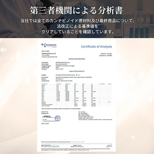 TRUE テルペン CBD CBN CBG 10ml ピーナツバターブレス TRUE テルペン CBD CBN CBG 10ml ピーナツバターブレス TRUE