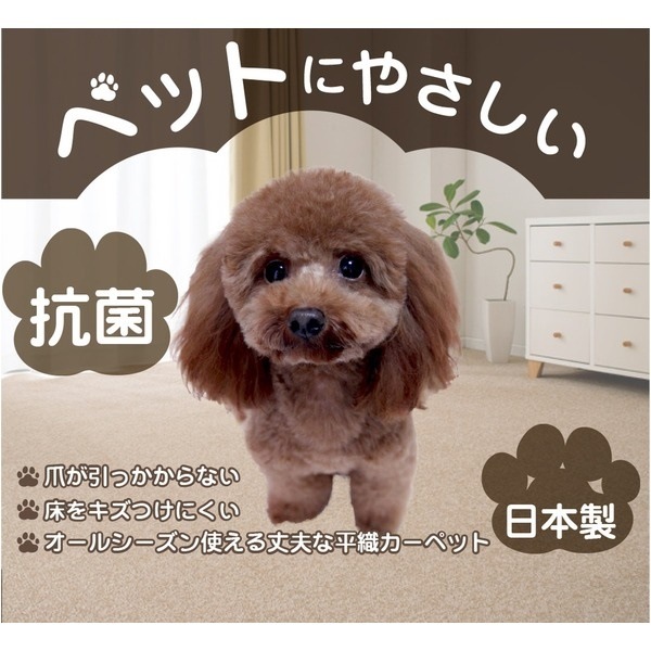 カーペット ラグ 平織 抗菌 ペットの爪が引っかかりにくい レベルカット / 江戸間 3畳 176261cm ローズ 日本製 Nリーダー