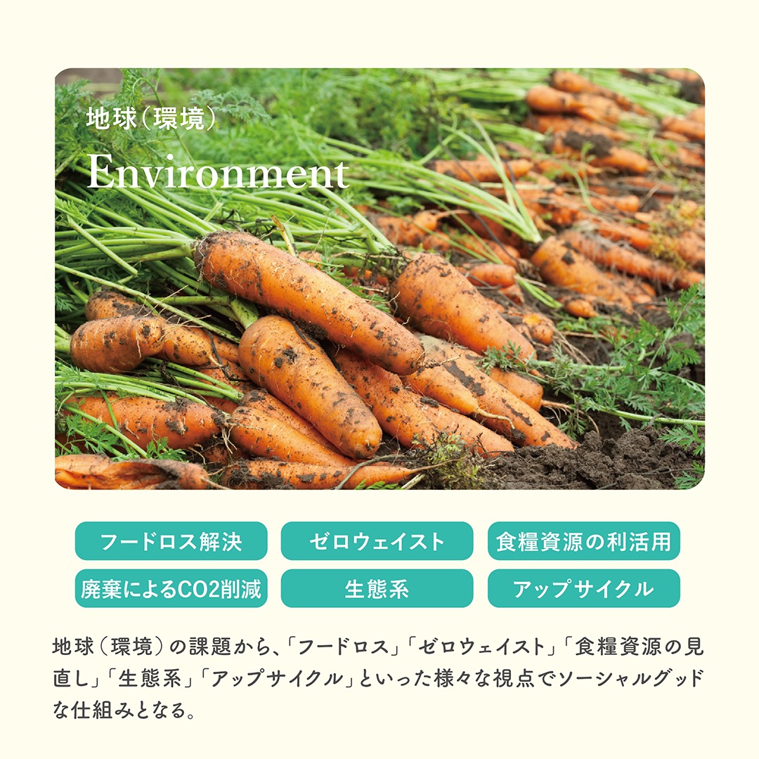 ポタージュスープ 詰め合わせ(人参x2里芋x2さつまいもx2) 1080g (6個入り) ポタージュスープ 詰め合わせ(人参x2里芋x2さつまいもx2) 1080g (6個入り)