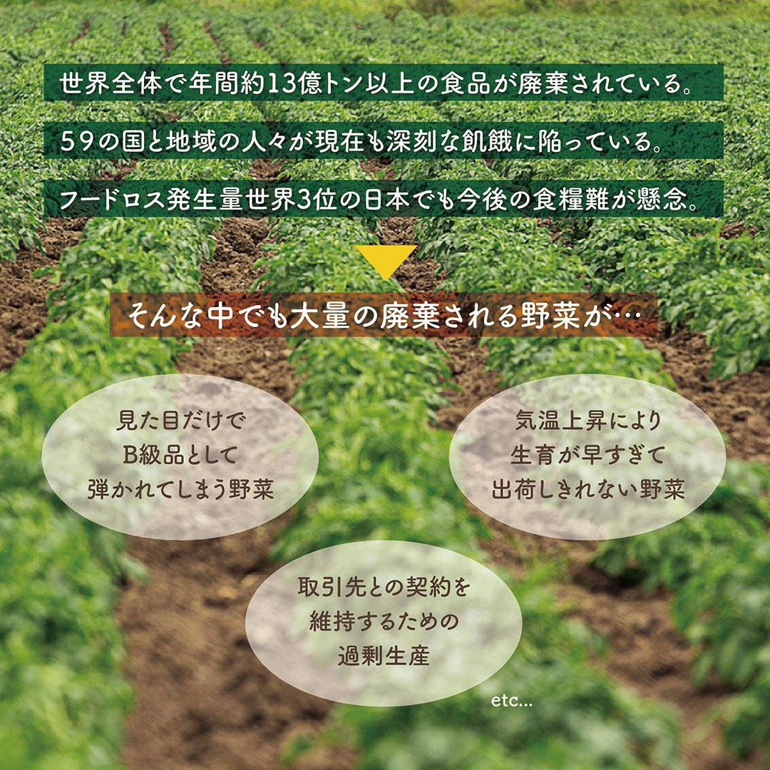 ポタージュスープ 詰め合わせ(人参x2里芋x2さつまいもx2) 1080g (6個入り) ポタージュスープ 詰め合わせ(人参x2里芋x2さつまいもx2) 1080g (6個入り)