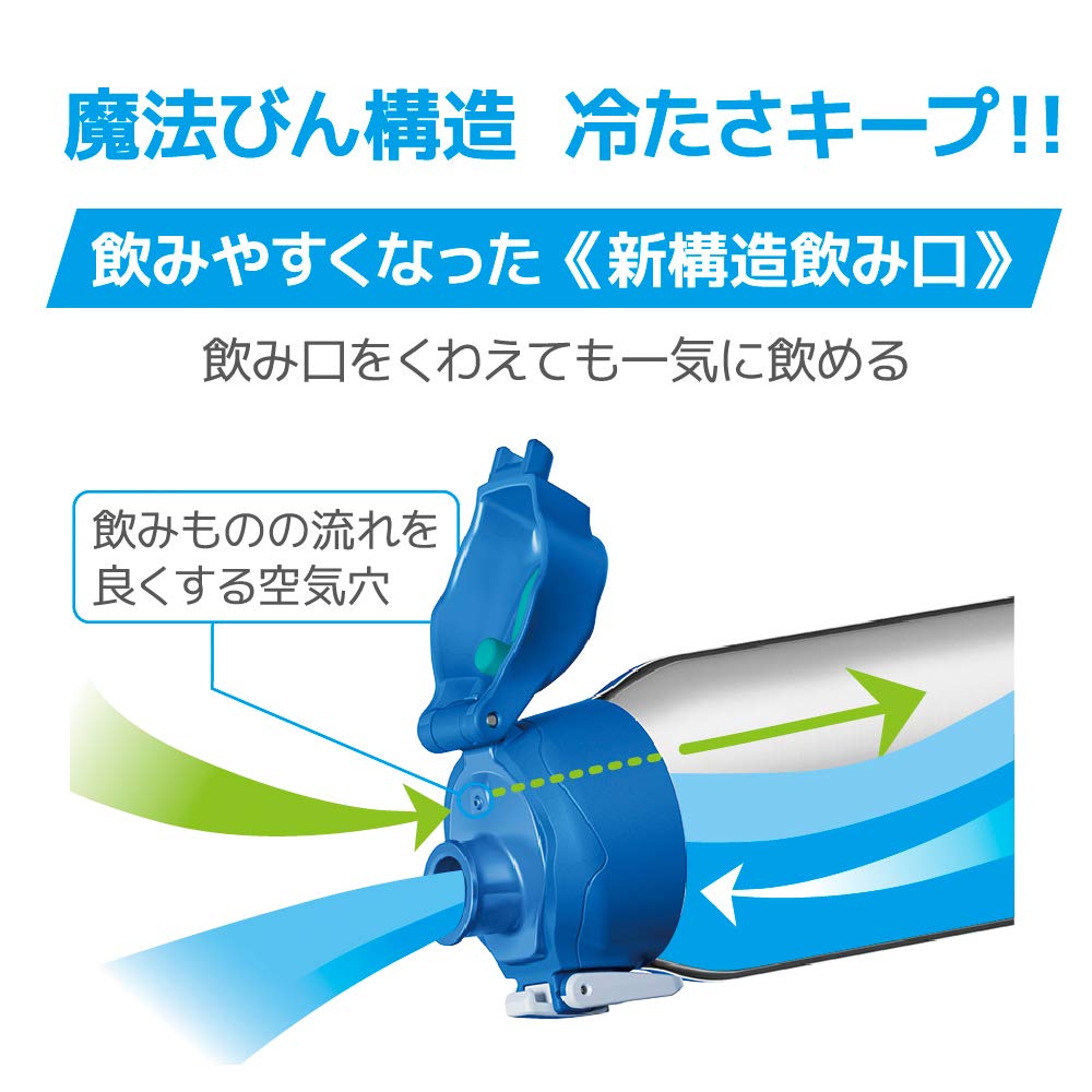 サーモス 水筒 真空断熱スポーツボトル 1L ブルーシルバー 保冷専用 FHT-1001F BLSL