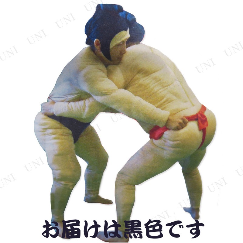 コスプレ 仮装 相撲セット 相撲スーツ3点セット 黒 【 コスプレ 衣装 ハロウィン 仮装 コスチューム すもう 力士 まわし パーティーグッズ 余興 メンズ 男性用 関取 お相撲さん 大人用 】 コスプレ 仮装 相撲セット 相撲スーツ3点セット 黒 【 コスプレ 衣装 ハロウィン 仮装 コスチューム すもう 力士 まわし パーティーグッズ 余興 メンズ 男性用 関取 お相撲さん 大人用 】