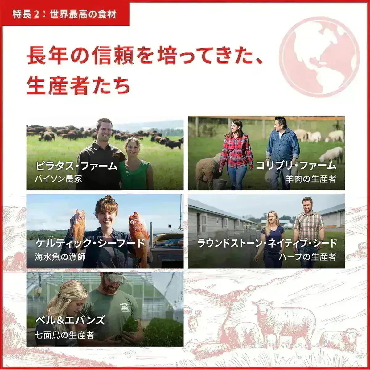 アカナ ワイルドコーストレシピ 2kg 全年齢用 全犬種用 期限26/07/18以降 アカナ ワイルドコーストレシピ 2kg 全年齢用 全犬種用 期限26/07/18以降