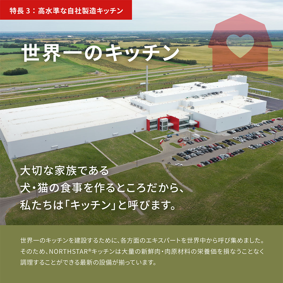 アカナ ワイルドコーストレシピ 2kg 全年齢用 全犬種用 期限26/07/18以降 アカナ ワイルドコーストレシピ 2kg 全年齢用 全犬種用 期限26/07/18以降