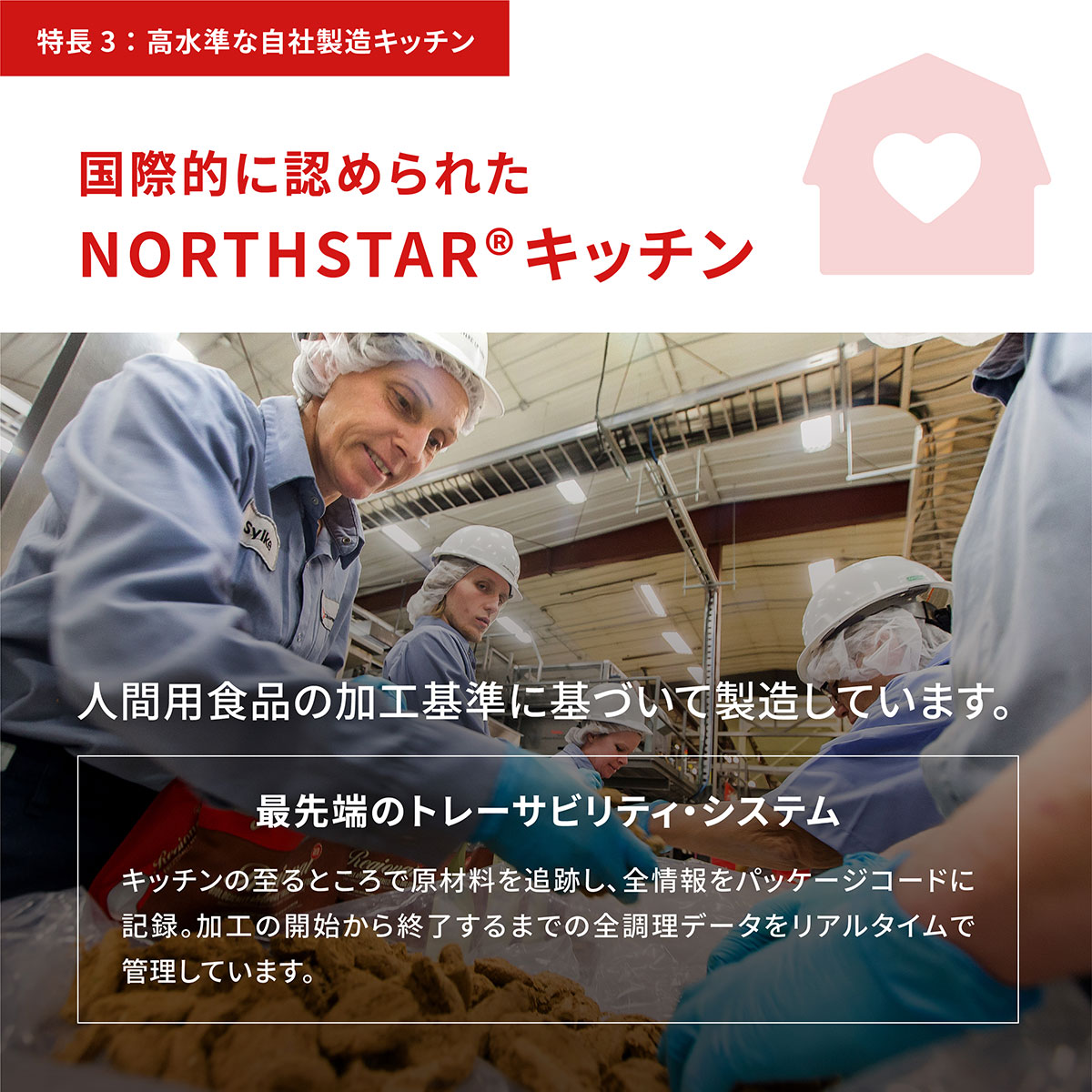 アカナ ワイルドコーストレシピ 2kg 全年齢用 全犬種用 期限26/07/18以降 アカナ ワイルドコーストレシピ 2kg 全年齢用 全犬種用 期限26/07/18以降