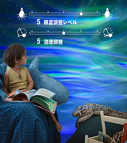 Vidafelic プラネタリウム 家庭用 本格的 スタープロジェクターライト ギャラクシーライト 星空ライト 14種点灯モード USBメモリに対応 タイマー機能付き 投影ランプ 星空ライト 音声制御
