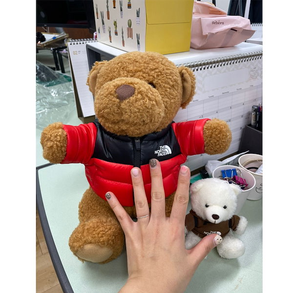 Qoo10] ザノースフェイス NG5AN60A くま 人形 NA5AR