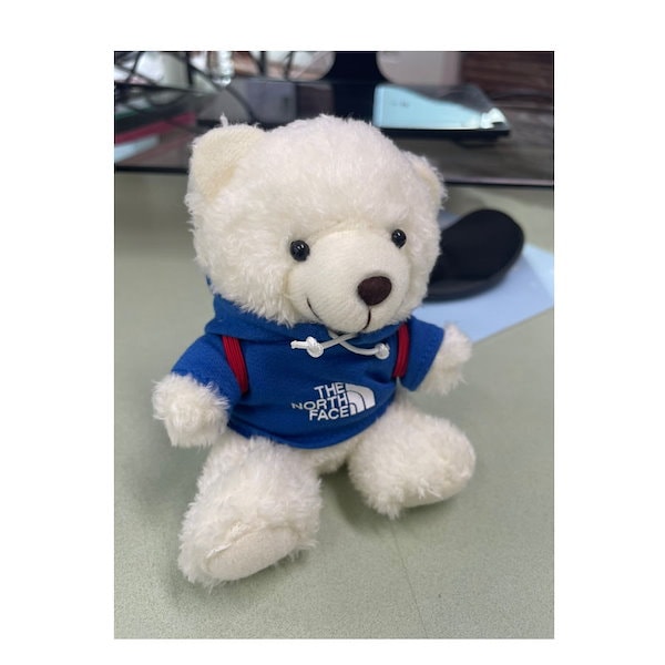 クマ型ぬいぐるみキーホルダー 星型チャーム付き ぬいぐるみ 人形 キーホルダー キーチェーン ふわもこ くま