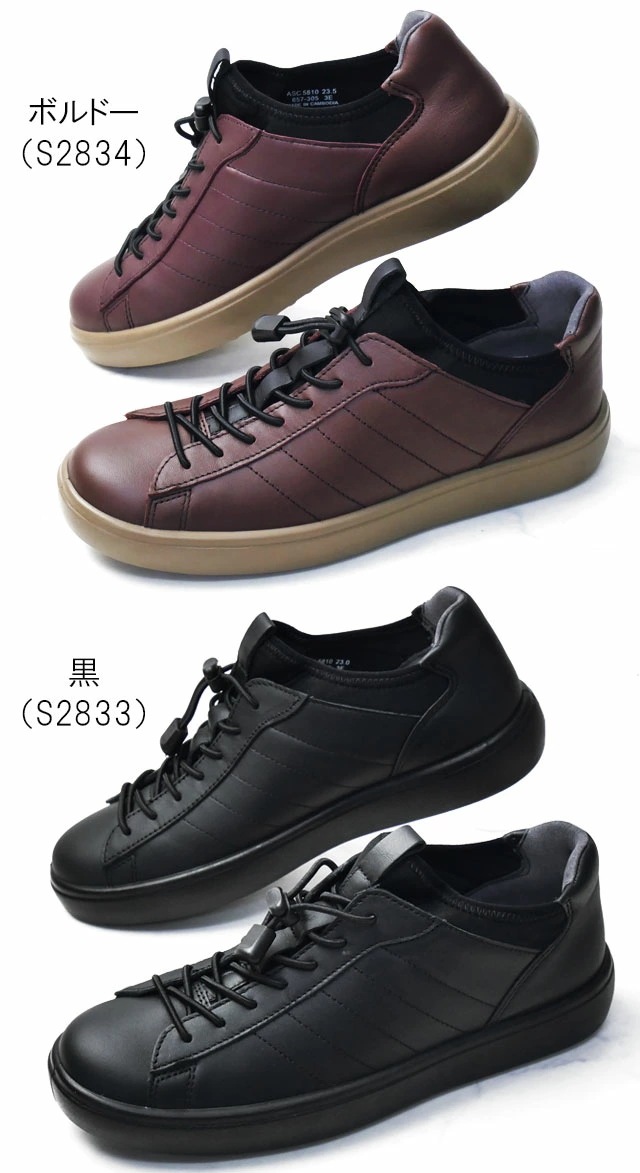 アキレス ソルボ 撥水 スニーカー ミセス ローカット 痛くない レザーシューズ 歩きやすい レディース ウォーキングシューズ ワイズ3E 本革 履きやすい コンフォートシューズ ASC 5810 ボ アキレス ソルボ 撥水 スニーカー ミセス ローカット 痛くない レザーシューズ 歩きやすい レディース ウォーキングシューズ ワイズ3E 本革 履きやすい コンフォートシューズ ASC 5810 ボ