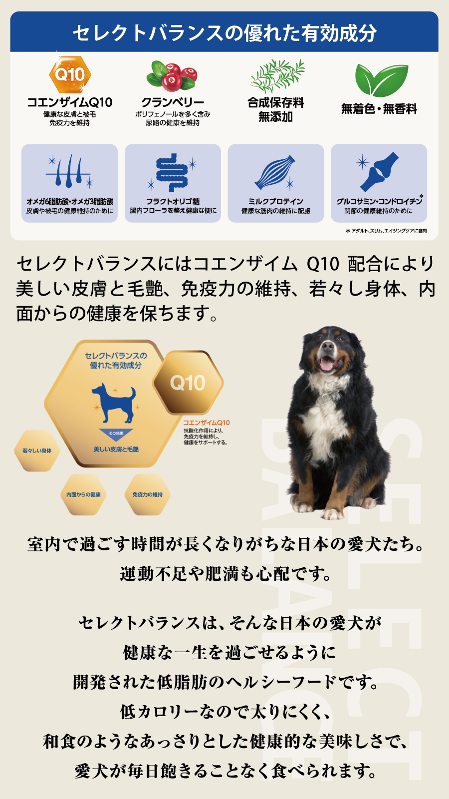 ドッグフード アダルトチキン 小粒 3kg【お試し国産お魚厚削り15g付き】