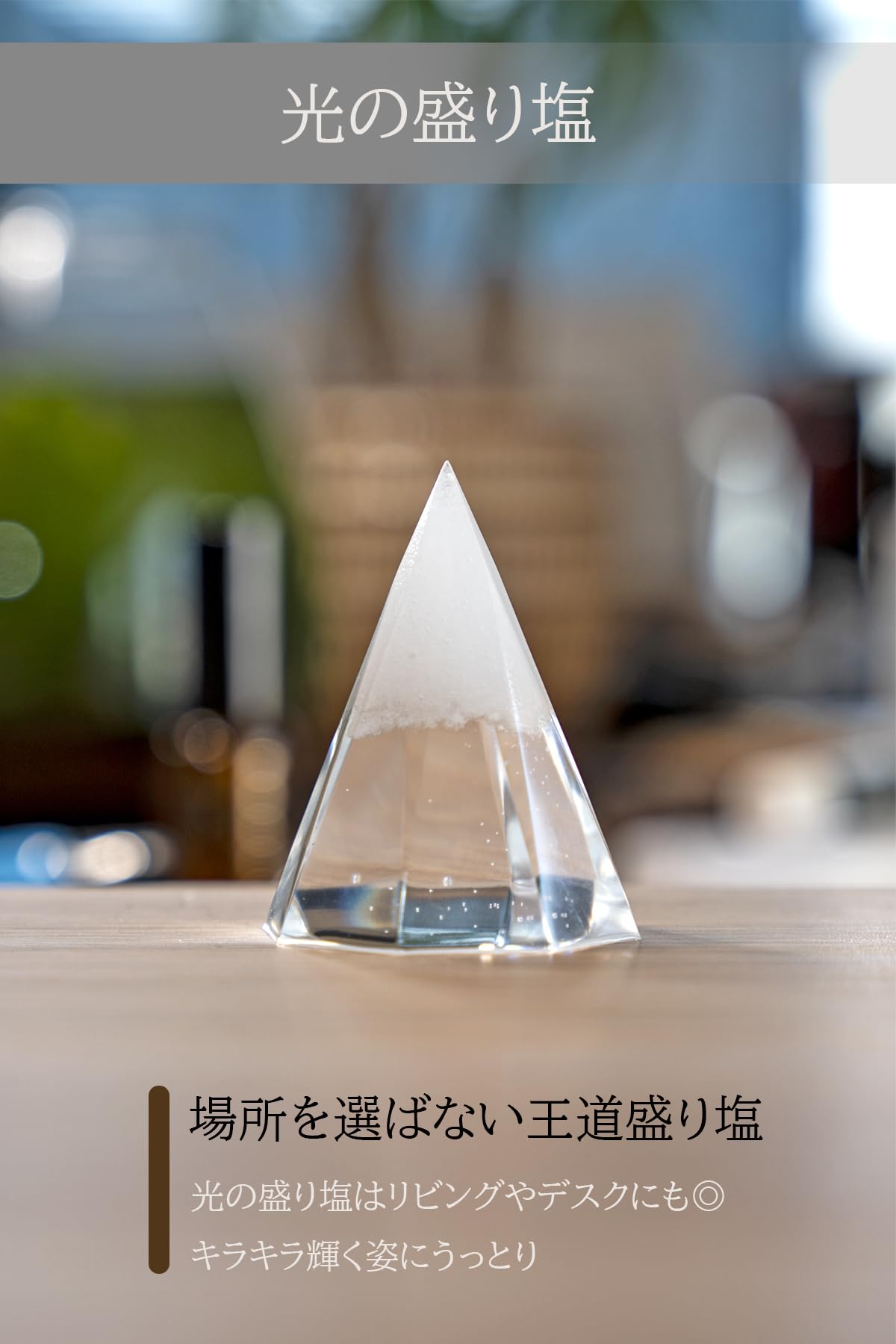 盛り塩 交換不要 オルゴナイト 風水グッズ 岩塩 粗塩 (光の盛り塩) 盛り塩 交換不要 オルゴナイト 風水グッズ 岩塩 粗塩 (光の盛り塩)