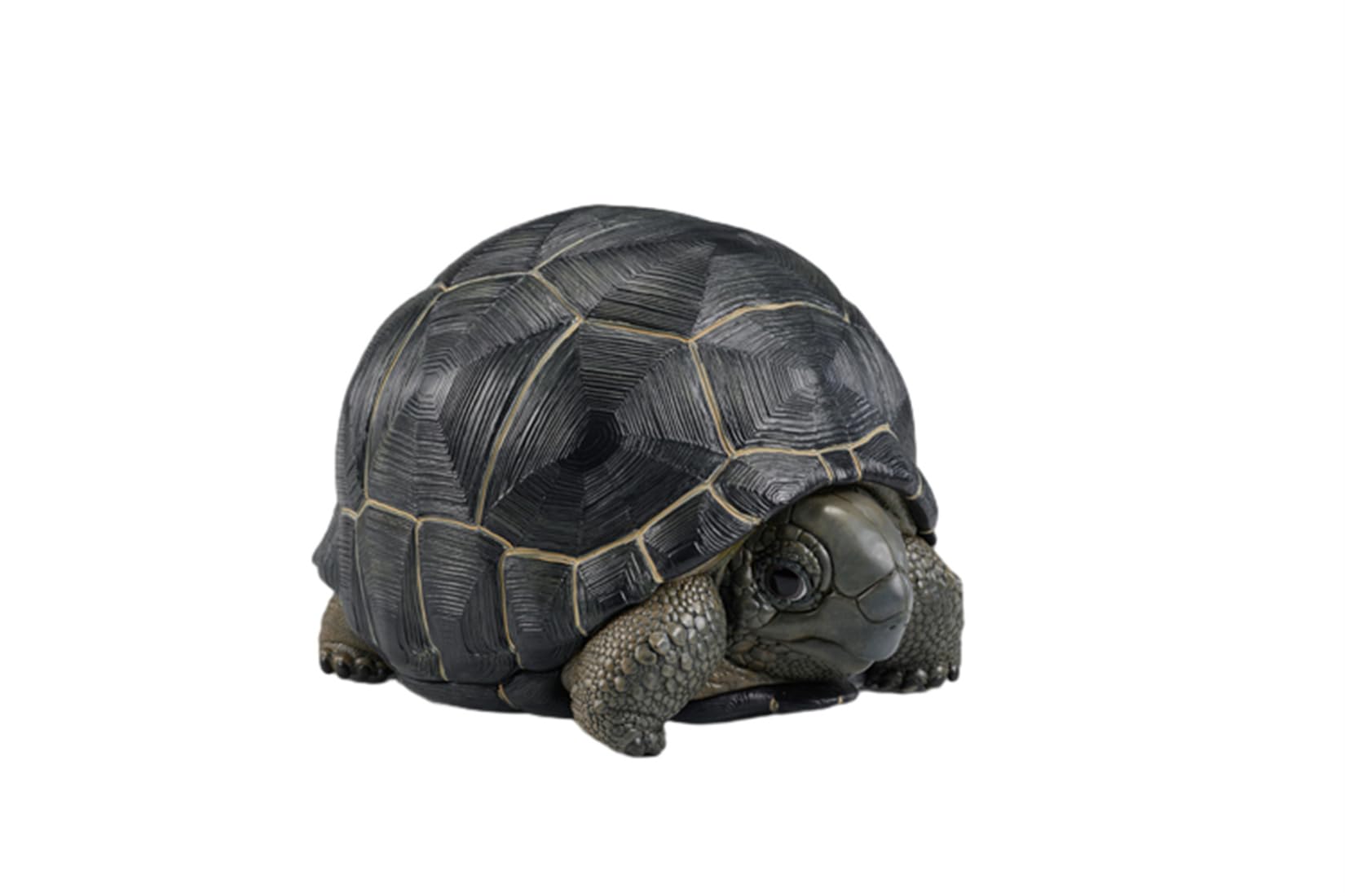 動物惑星 カメ 亀 アルダブラゾウガメ 7CM級 爬虫類 フィギュア カメ 樹脂 可愛い おもちゃ プラモデル プレミアム リアル 動物好き オリジナル 模型 プレゼント 動物惑星 カメ 亀 アルダブラゾウガメ 7CM級 爬虫類 フィギュア カメ 樹脂 可愛い おもちゃ プラモデル プレミアム リアル 動物好き オリジナル 模型 プレゼント