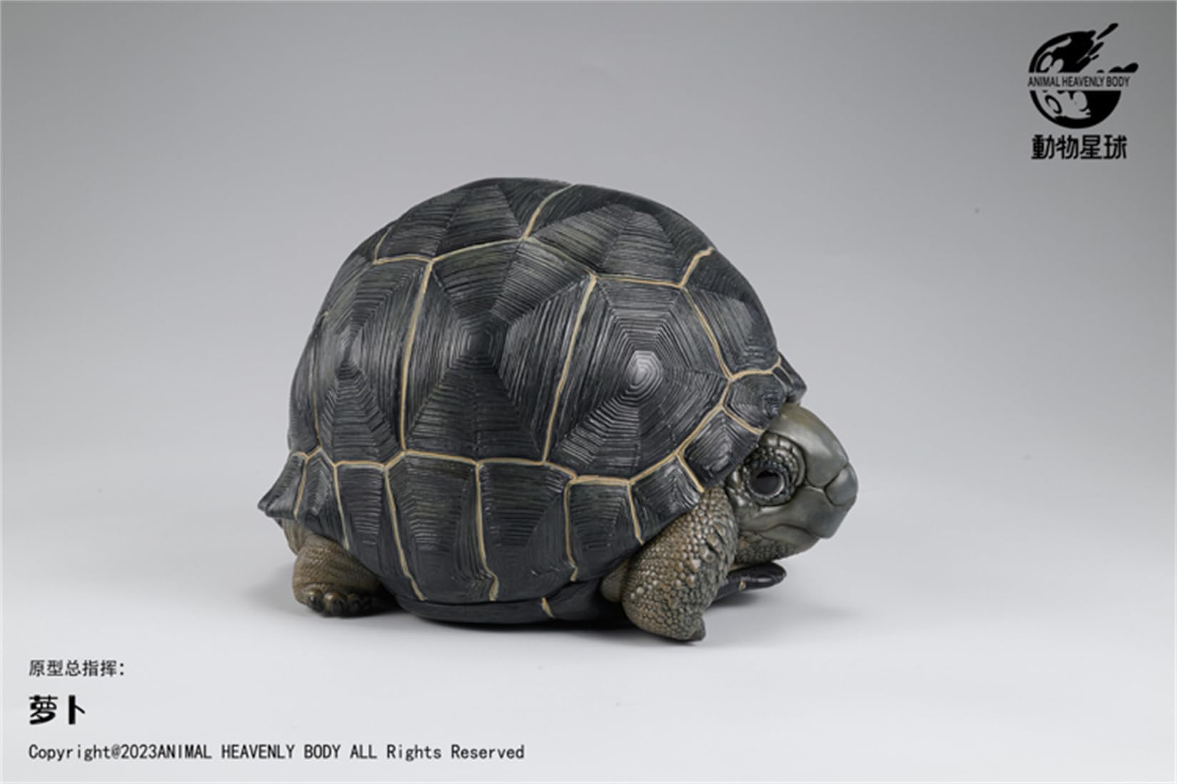 動物惑星 カメ 亀 アルダブラゾウガメ 7CM級 爬虫類 フィギュア カメ 樹脂 可愛い おもちゃ プラモデル プレミアム リアル 動物好き オリジナル 模型 プレゼント 動物惑星 カメ 亀 アルダブラゾウガメ 7CM級 爬虫類 フィギュア カメ 樹脂 可愛い おもちゃ プラモデル プレミアム リアル 動物好き オリジナル 模型 プレゼント