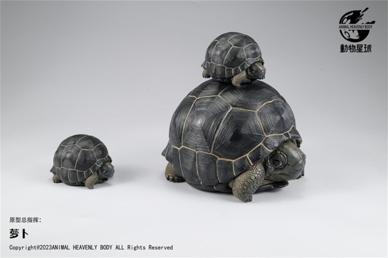 動物惑星 カメ 亀 アルダブラゾウガメ 7CM級 爬虫類 フィギュア カメ 樹脂 可愛い おもちゃ プラモデル プレミアム リアル 動物好き オリジナル 模型 プレゼント 動物惑星 カメ 亀 アルダブラゾウガメ 7CM級 爬虫類 フィギュア カメ 樹脂 可愛い おもちゃ プラモデル プレミアム リアル 動物好き オリジナル 模型 プレゼント