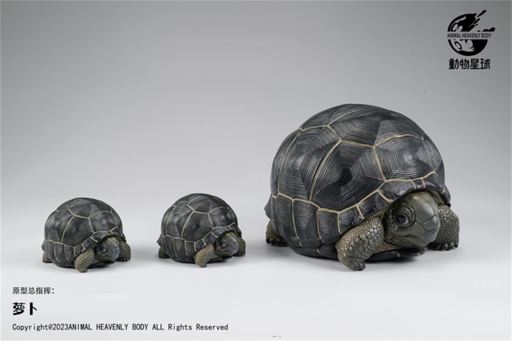 動物惑星 カメ 亀 アルダブラゾウガメ 7CM級 爬虫類 フィギュア カメ 樹脂 可愛い おもちゃ プラモデル プレミアム リアル 動物好き オリジナル 模型 プレゼント 動物惑星 カメ 亀 アルダブラゾウガメ 7CM級 爬虫類 フィギュア カメ 樹脂 可愛い おもちゃ プラモデル プレミアム リアル 動物好き オリジナル 模型 プレゼント