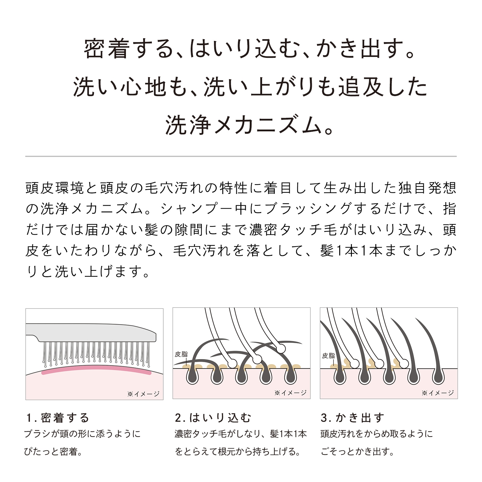 【デイリーケアセット】リファエールブラシ + リファイオンケアブラシプレミアム