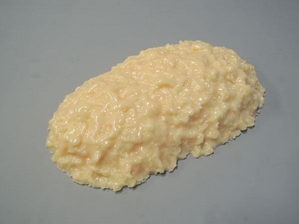 脂肪模型 2kg IP-971