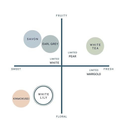 SHIRO ホワイトリリー フレグランスディフューザーリキッド (300mL / 3か月目安) ルームフレグランス (詰め替え用リキッド＋スティック)