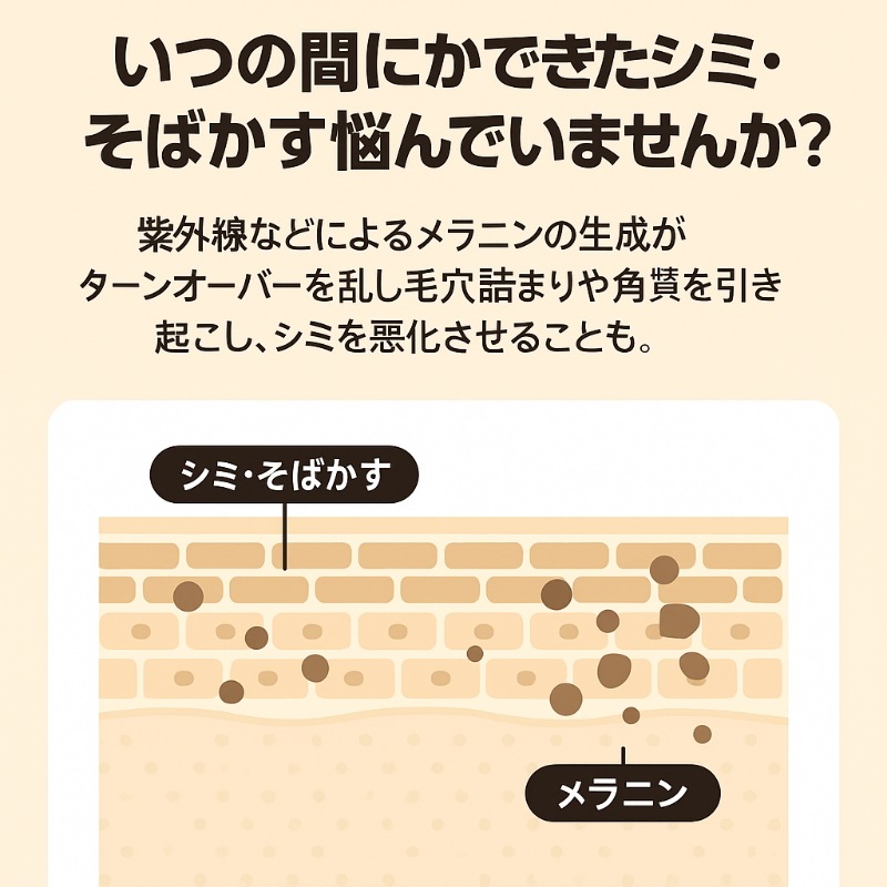 セルメイジング ブライトニングアンプル 50ml×2本セット 韓国コスメ 高保湿 ツヤ肌 整肌 朝夜ケア ビタミン美容液 セルメイジング ブライトニングアンプル 50ml×2本セット 韓国コスメ 高保湿 ツヤ肌 整肌 朝夜ケア ビタミン美容液