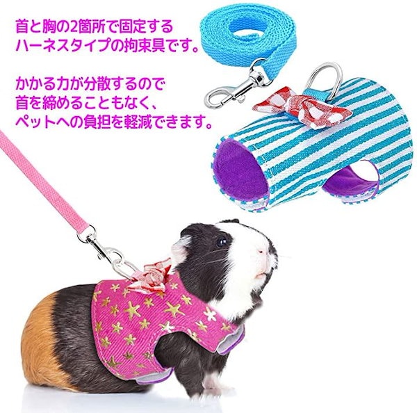 楽天市場】【LINE追加10%OFFクーポン】 moncheri モンシェリ 犬
