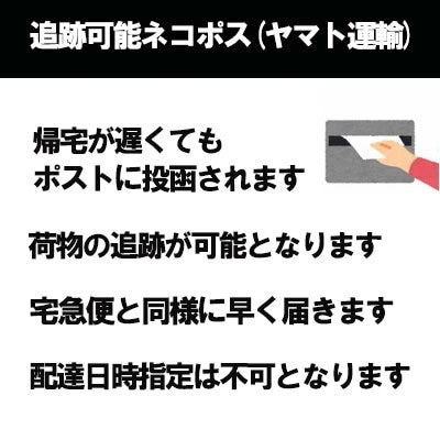 CPB タンクッションエクラ ルミヌ（レフィル）15ｇ オークル10 SPF25 PA+++　日焼け止め　美肌　UV　雑誌掲載