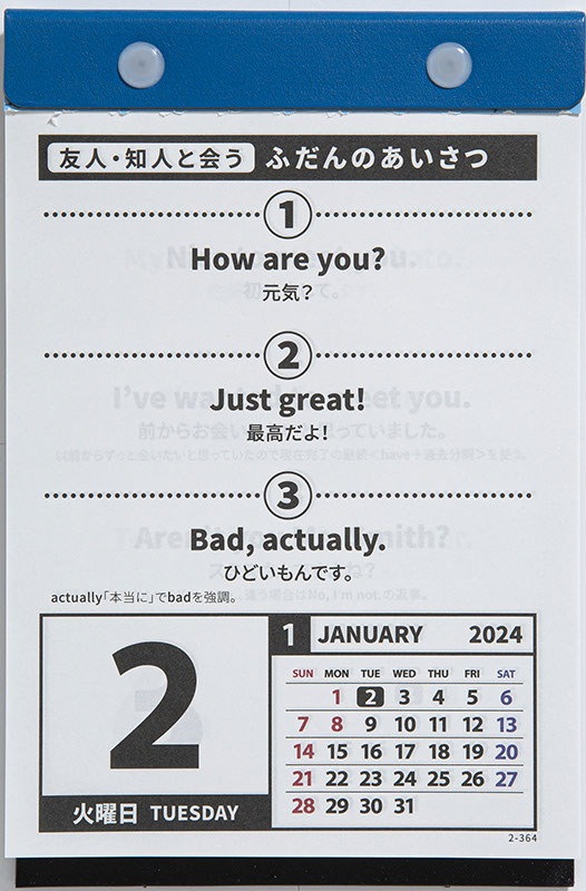 E513 英会話 日めくりカレンダー