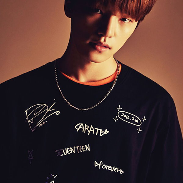 SEVENTEEN 17'sCUT 3周年 Tシャツ 値下げ中