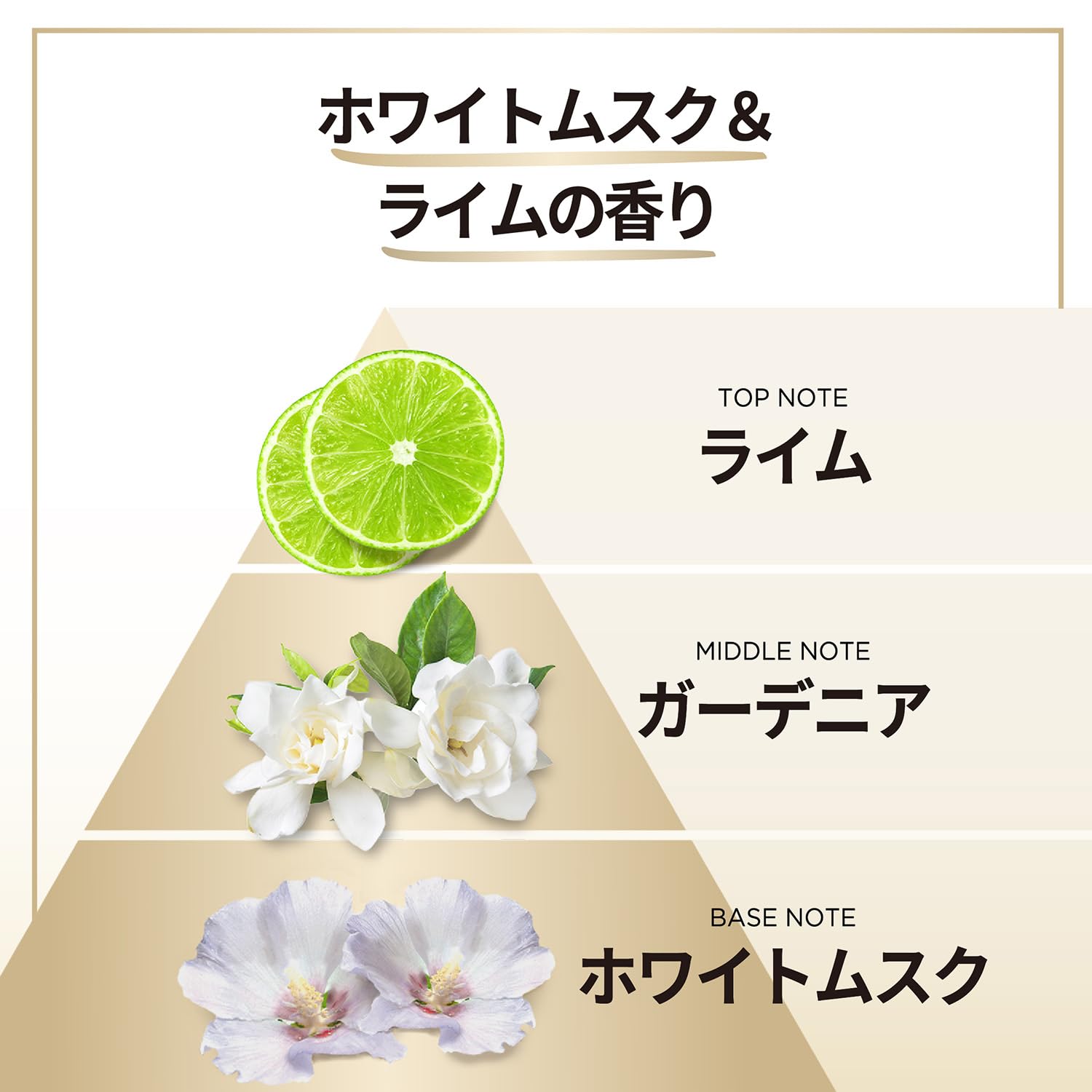 パンテーン ミラクルズ シャンプー＆トリートメント 1050g×2個 詰替大容量 無添加シリーズ シルキーリペア 【Amazon.co.jp限定】