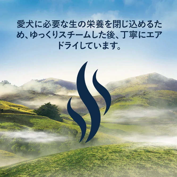 ZIWI Peak スチーム＆ドライ ドッグフード ラム 3.2kg 正規品 ジウィピーク ドライフード 全犬種用 オールステージ 全ライフステージ 犬用品 犬用 総合栄養食