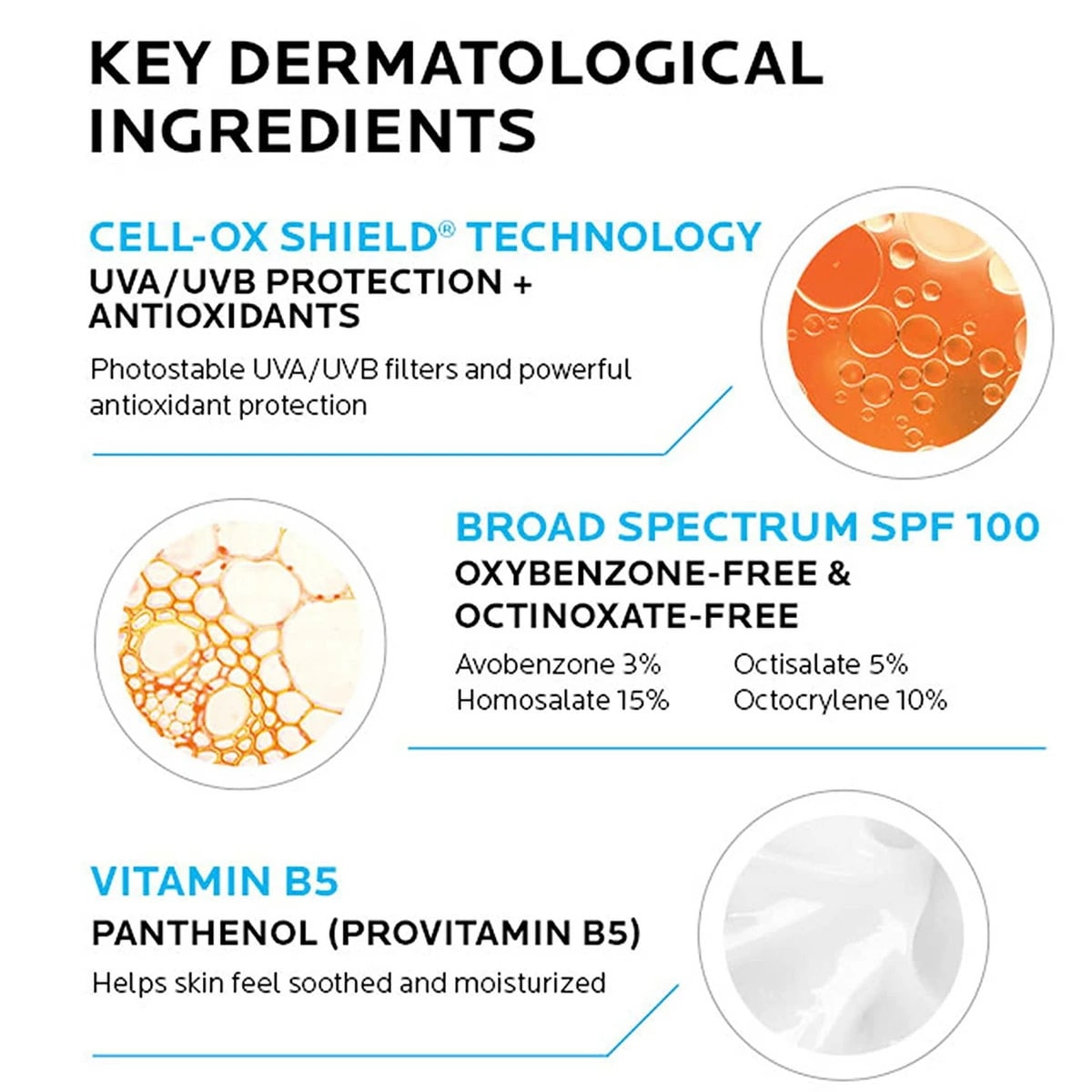 【エクスプレス便】La Roche-Posay Anthelios Melt-in Milk Body & Face Sunscreen Lotion SPF 100 3oz ラロッシュポゼ 日焼止め 【エクスプレス便】La Roche-Posay Anthelios Melt-in Milk Body & Face Sunscreen Lotion SPF 100 3oz ラロッシュポゼ 日焼止め