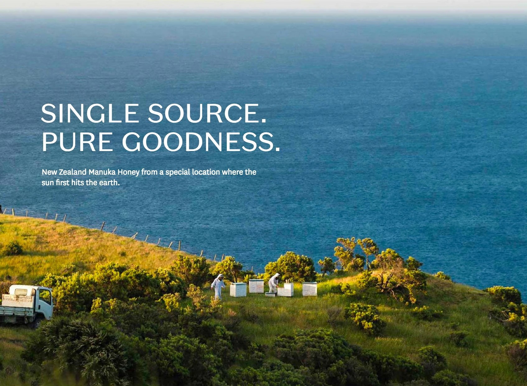 WILD CAPE マヌカハニー UMF15+ 250g