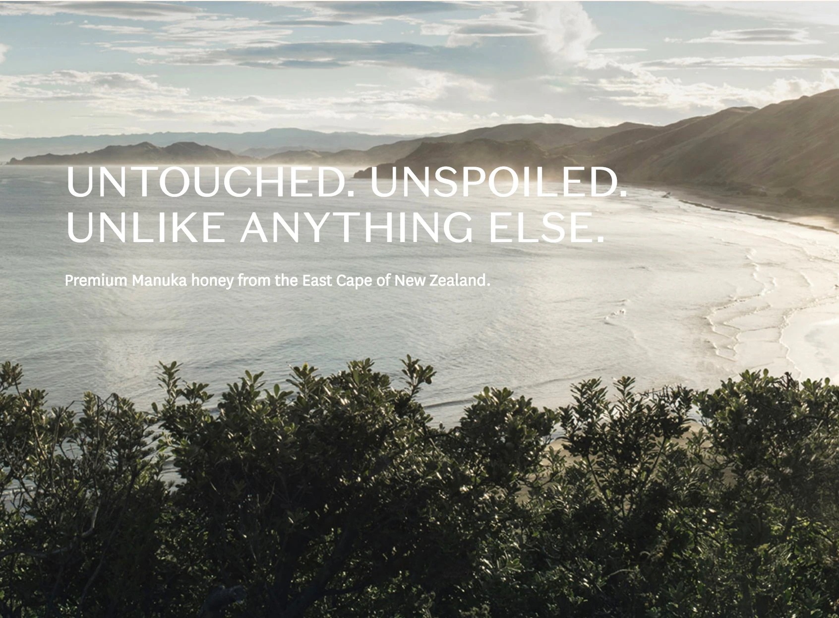 WILD CAPE マヌカハニー UMF15+ 250g