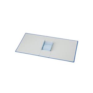 （まとめ）TANOSEE 片開きパイプ式ファイルE A4タテ 30mmとじ 青 30冊