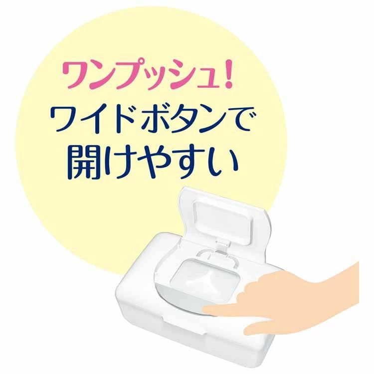 12個セット】エリエール ピュアナ ウエットティシュー ノンアルコールタイプ 本体 47枚 (D) メガ割