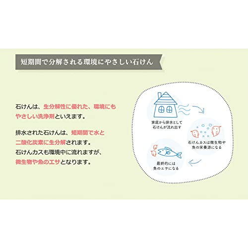 【大容量】 シャボン玉　無添加石けん　衣料用液体洗剤　スノール 5L　日本アトピー協会推薦品　　柔軟剤不要