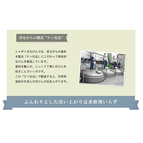 【大容量】 シャボン玉　無添加石けん　衣料用液体洗剤　スノール 5L　日本アトピー協会推薦品　　柔軟剤不要