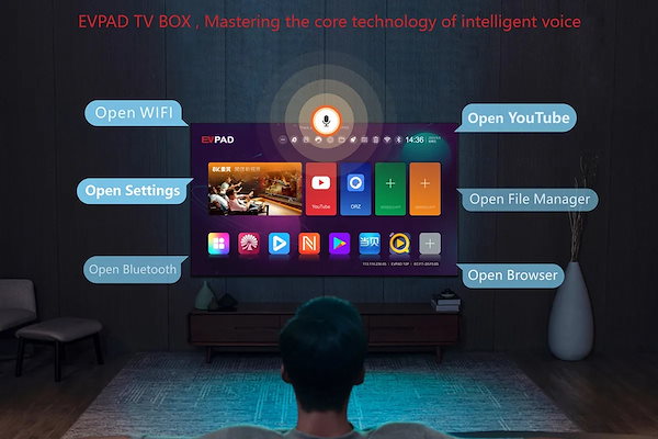 Qoo10] EVPAD 10P スマート TV ボッ