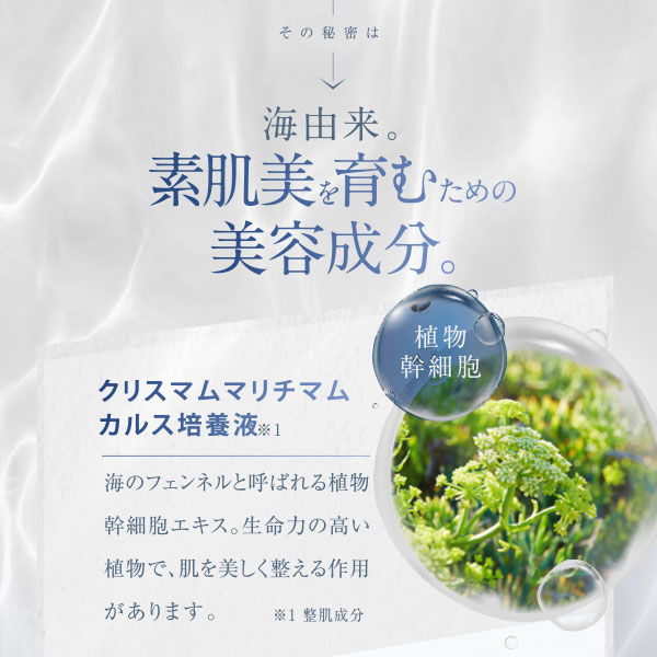 アクシージア AXXZIA ビューティーフォースモイストリッチクリームEX 30g [152438]