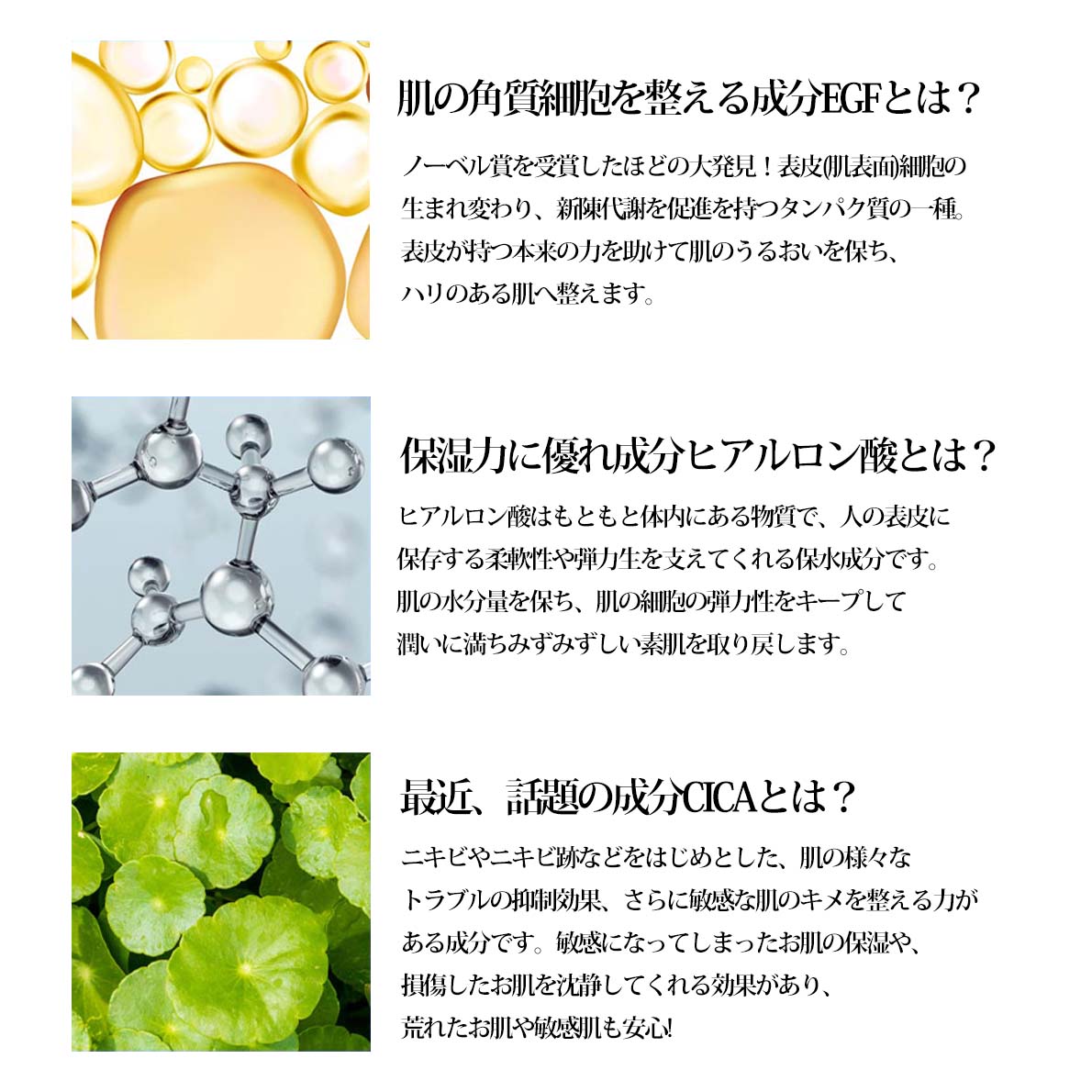 Qoo10] LC.TRUE 【当店限定スキンケアブランド／LC.TR